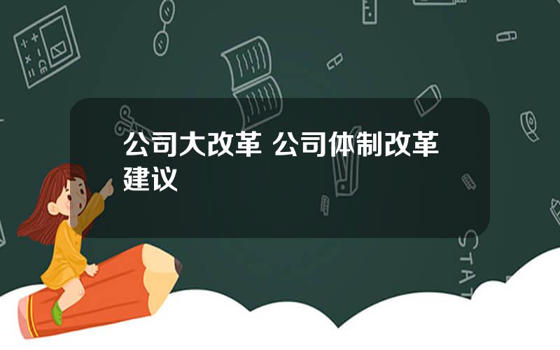 公司大改革 公司体制改革建议